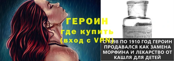 гидра Михайловка