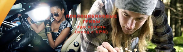 гидра Михайловка