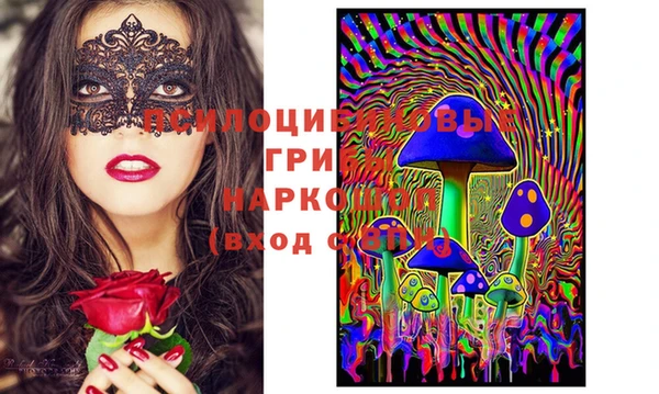 метадон Михайлов