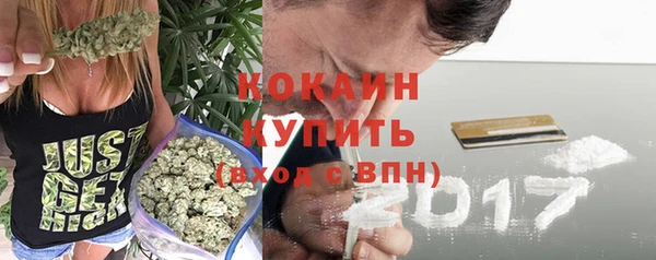 гидра Михайловка
